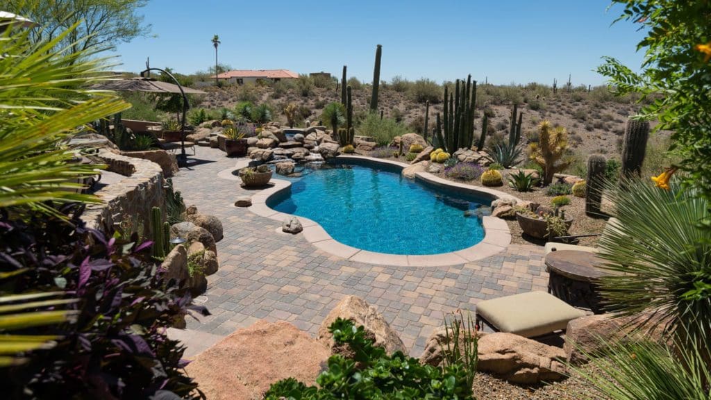Pool Design Ideas: Freeform Desert Oasis - California Pools & Landscape